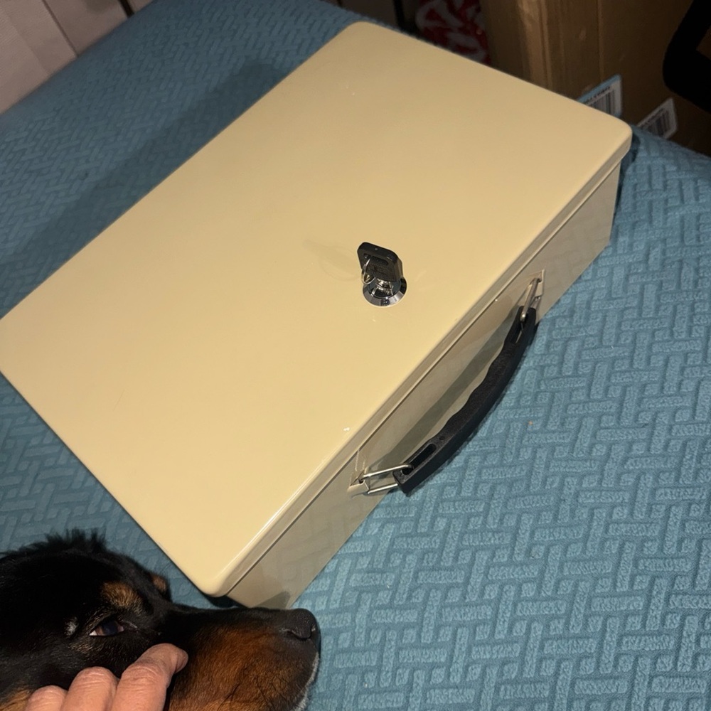 MMF Industries Fire-Retardant Steel Security Chest with Key Lock | Tan Looks New